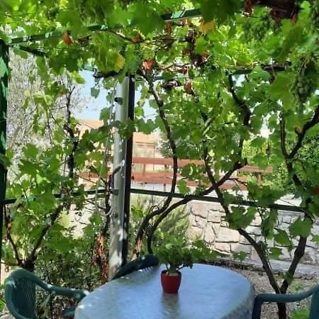 Apartman Katarina Đảo Đảo Cres Ngoại thất bức ảnh